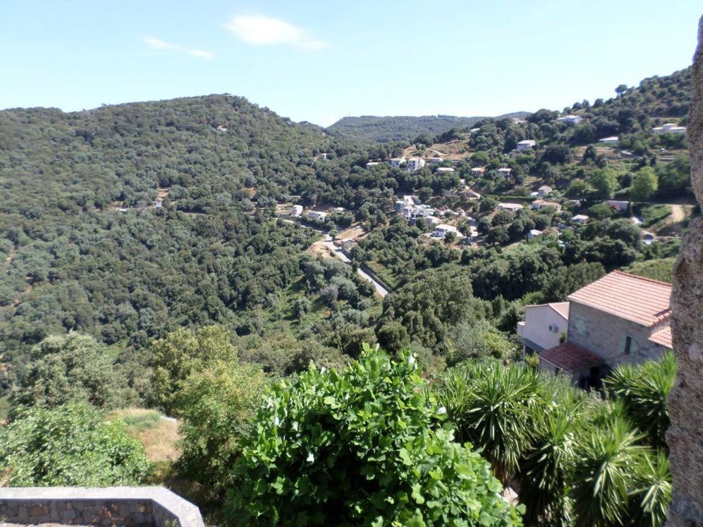 Sollacaro Appartement De Charme Entre Mer Et Montagne מראה חיצוני תמונה